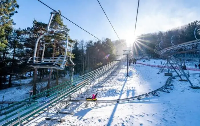 Wisp Resort Mountain Coaster in winter