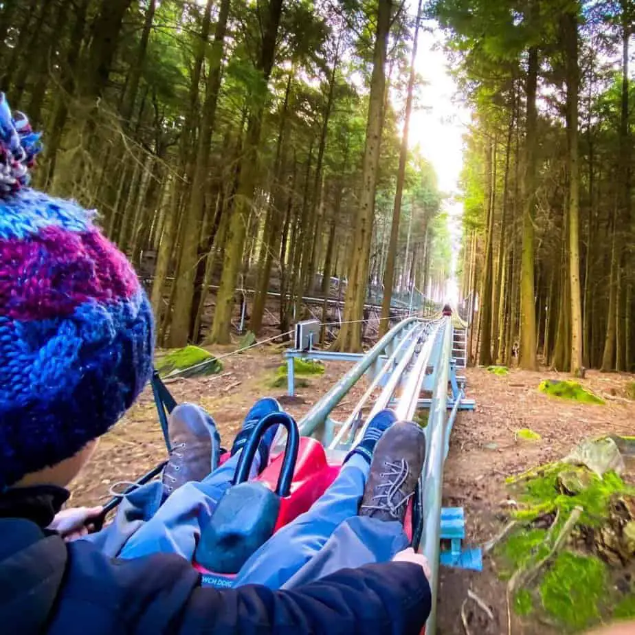 Fforest Coaster track at ZipWorld in Wales