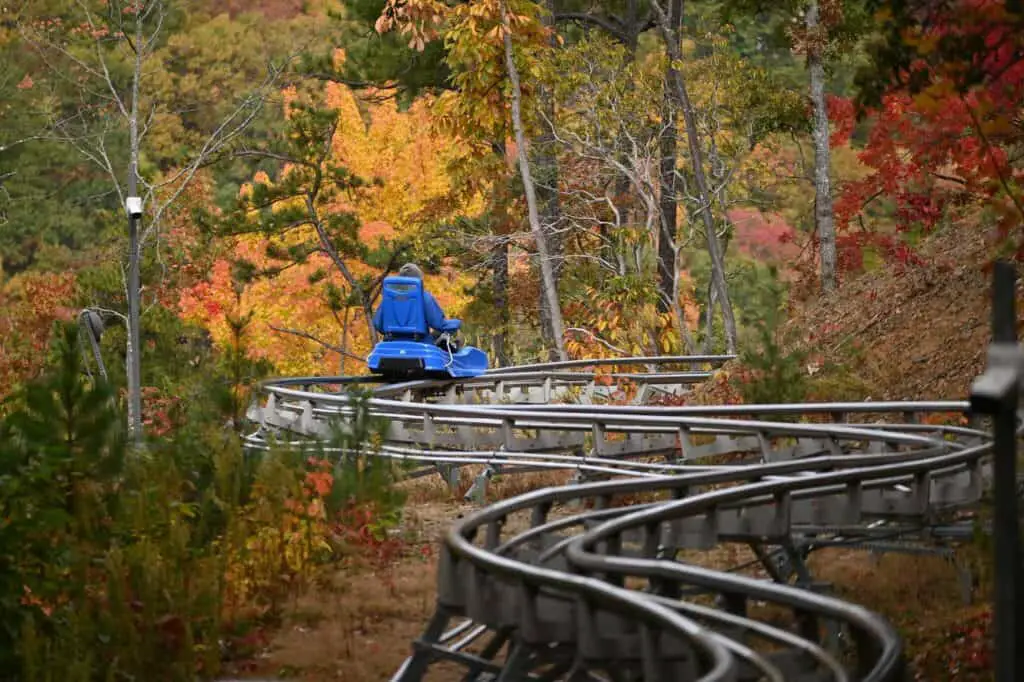 Tenessee Mountain Coaster in the fall
